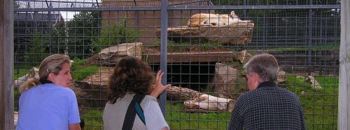 Joni Johnson-Godsy, Susan Fox and Tom Altenburg observe the wolves.