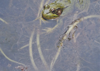 Frog painting by SAA Master Signature Member, Patricia Pepin