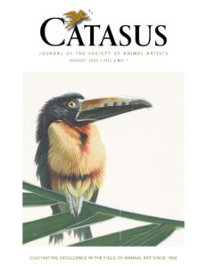 Catasus August 2026 cover